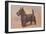 Scotty Dog-null-Framed Art Print