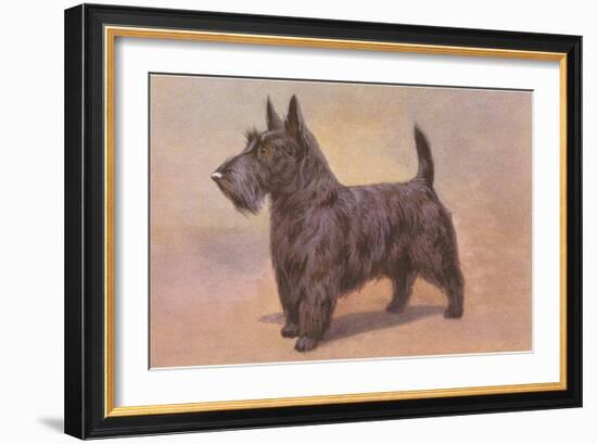 Scotty Dog-null-Framed Art Print