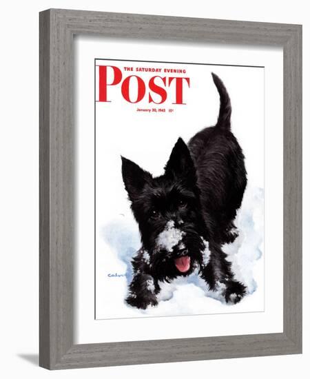 "Scotty in Snow," Saturday Evening Post Cover, January 30, 1943-W.W. Calvert-Framed Giclee Print