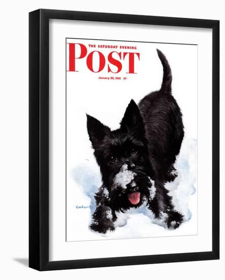 "Scotty in Snow," Saturday Evening Post Cover, January 30, 1943-W.W. Calvert-Framed Giclee Print