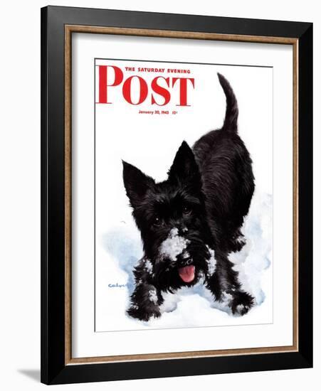 "Scotty in Snow," Saturday Evening Post Cover, January 30, 1943-W.W. Calvert-Framed Giclee Print