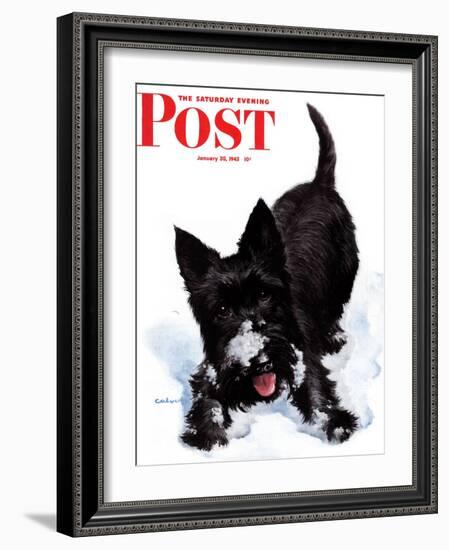 "Scotty in Snow," Saturday Evening Post Cover, January 30, 1943-W.W. Calvert-Framed Premium Giclee Print