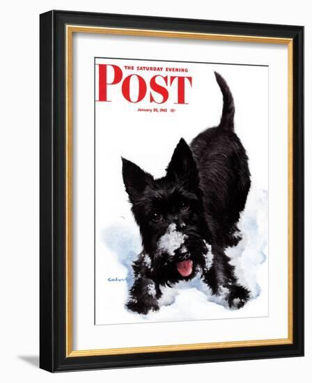 "Scotty in Snow," Saturday Evening Post Cover, January 30, 1943-W.W. Calvert-Framed Premium Giclee Print