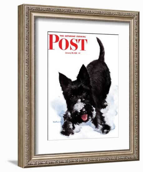 "Scotty in Snow," Saturday Evening Post Cover, January 30, 1943-W.W. Calvert-Framed Giclee Print