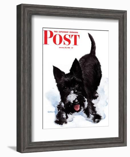 "Scotty in Snow," Saturday Evening Post Cover, January 30, 1943-W.W. Calvert-Framed Giclee Print