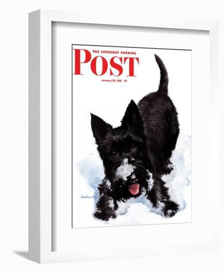 "Scotty in Snow," Saturday Evening Post Cover, January 30, 1943-W.W. Calvert-Framed Giclee Print