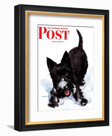 "Scotty in Snow," Saturday Evening Post Cover, January 30, 1943-W.W. Calvert-Framed Giclee Print