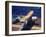 Scout Plane Preparing for Carrier Launch During Us Navy Manuevers Off the Hawaiian Islands-Carl Mydans-Framed Photographic Print