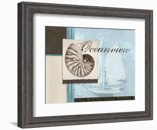 Scrapbook Shell I-Paul Brent-Framed Art Print