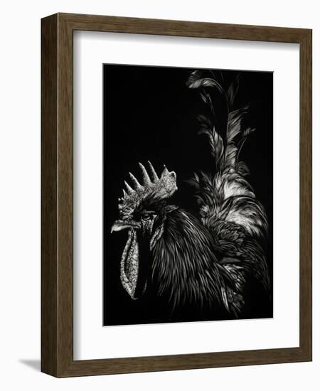 Scratchboard Tyrant-Julie Chapman-Framed Art Print