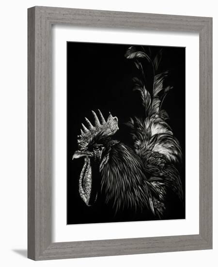 Scratchboard Tyrant-Julie Chapman-Framed Art Print