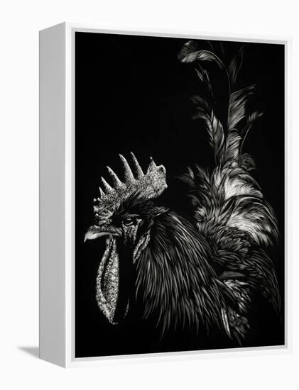 Scratchboard Tyrant-Julie Chapman-Framed Stretched Canvas