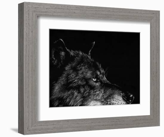 Scratchboard Wolf I-Julie Chapman-Framed Premium Giclee Print