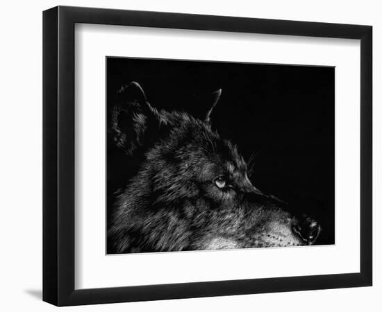 Scratchboard Wolf I-Julie Chapman-Framed Premium Giclee Print