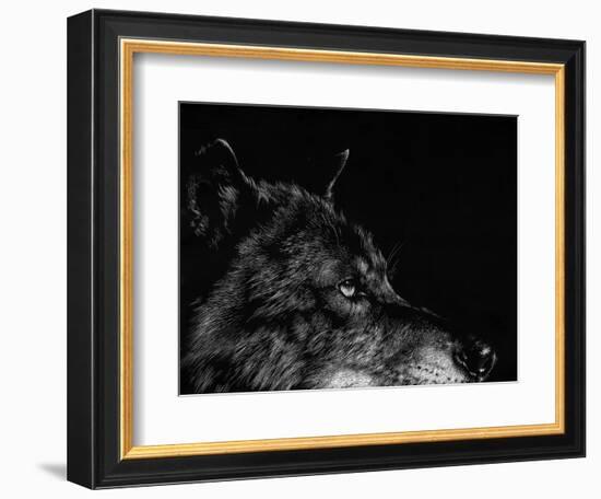 Scratchboard Wolf I-Julie Chapman-Framed Premium Giclee Print