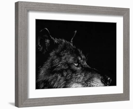 Scratchboard Wolf I-Julie Chapman-Framed Art Print