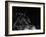 Scratchboard Wolf I-Julie Chapman-Framed Art Print