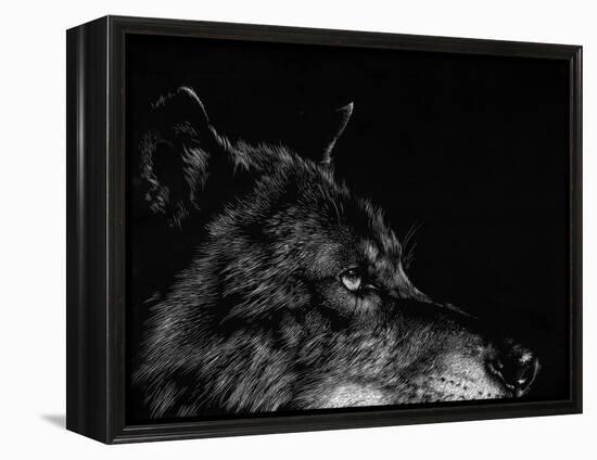 Scratchboard Wolf I-Julie Chapman-Framed Stretched Canvas