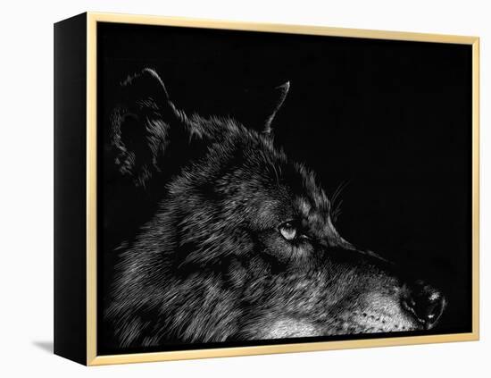 Scratchboard Wolf I-Julie Chapman-Framed Stretched Canvas