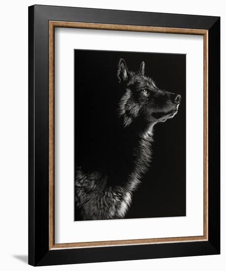 Scratchboard Wolf II-Julie Chapman-Framed Premium Giclee Print