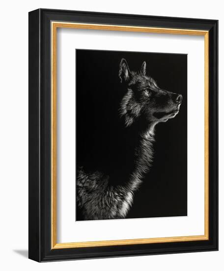 Scratchboard Wolf II-Julie Chapman-Framed Premium Giclee Print