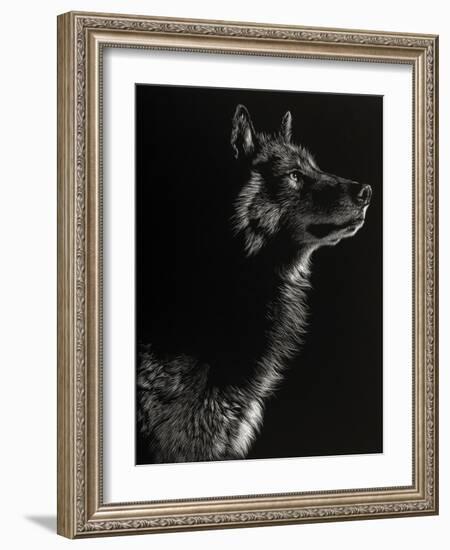 Scratchboard Wolf II-Julie Chapman-Framed Art Print