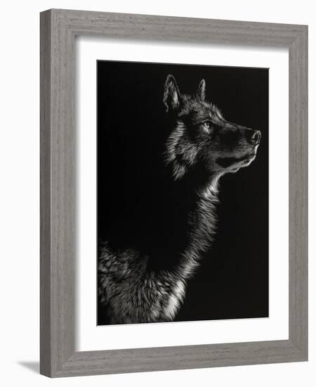 Scratchboard Wolf II-Julie Chapman-Framed Art Print