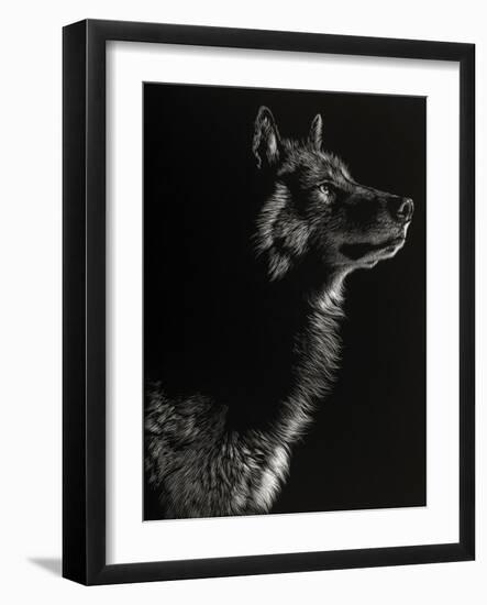 Scratchboard Wolf II-Julie Chapman-Framed Art Print