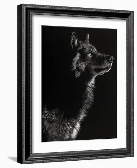 Scratchboard Wolf II-Julie Chapman-Framed Art Print