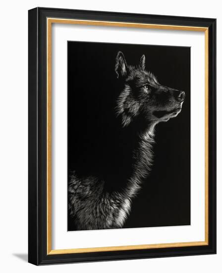 Scratchboard Wolf II-Julie Chapman-Framed Art Print