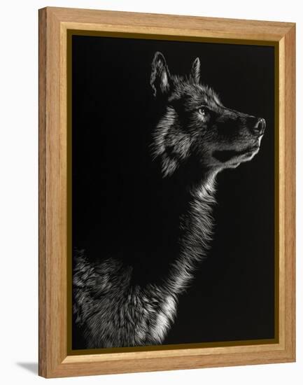 Scratchboard Wolf II-Julie Chapman-Framed Stretched Canvas