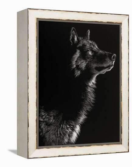 Scratchboard Wolf II-Julie Chapman-Framed Stretched Canvas