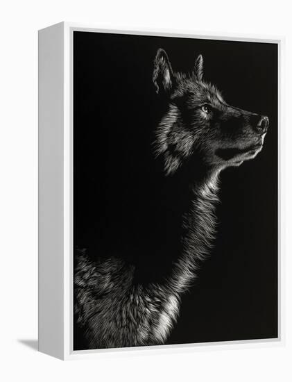 Scratchboard Wolf II-Julie Chapman-Framed Stretched Canvas