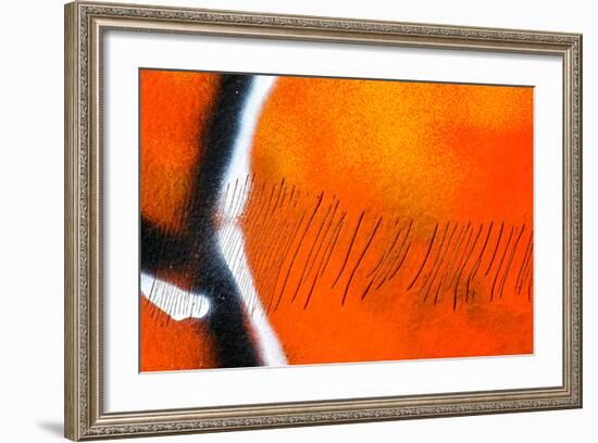 Scratches-Ursula Abresch-Framed Photographic Print