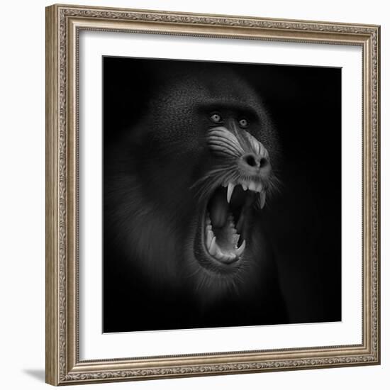 Scream-Ruud Peters-Framed Photographic Print