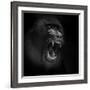 Scream-Ruud Peters-Framed Photographic Print