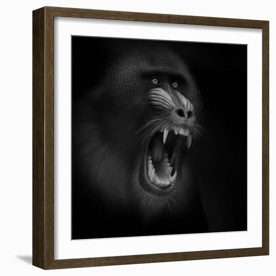 Scream-Ruud Peters-Framed Photographic Print