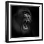 Scream-Ruud Peters-Framed Photographic Print