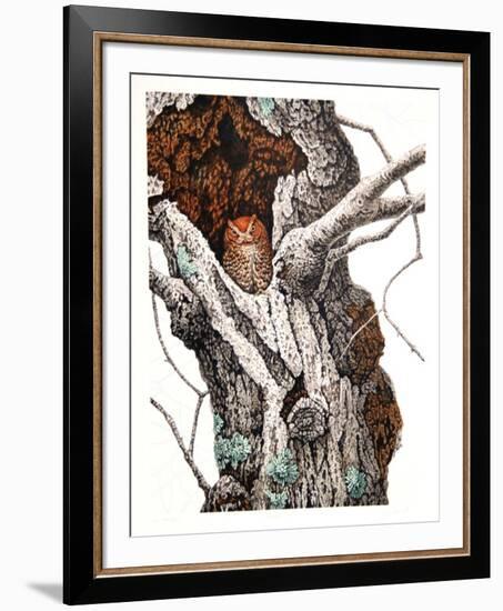 Screech Owl-Chris Forrest-Framed Limited Edition