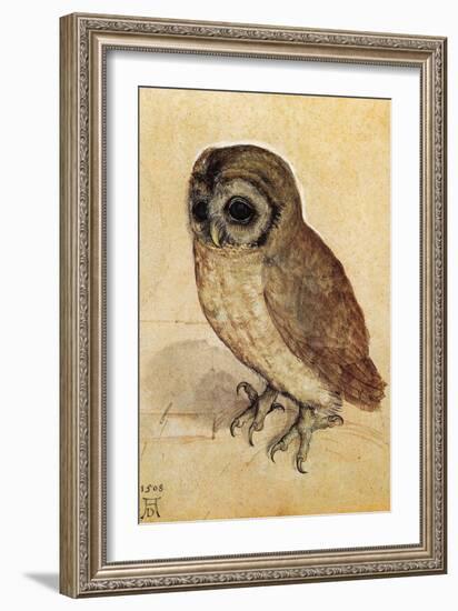 Screech Owl-null-Framed Art Print