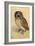 Screech Owl-null-Framed Art Print