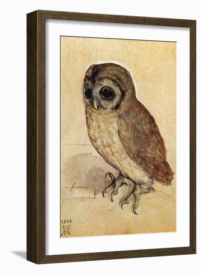 Screech Owl-null-Framed Art Print