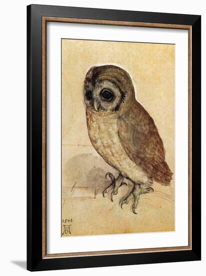 Screech Owl-null-Framed Art Print