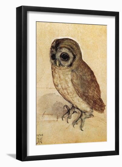 Screech Owl-null-Framed Art Print