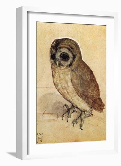 Screech Owl-null-Framed Art Print