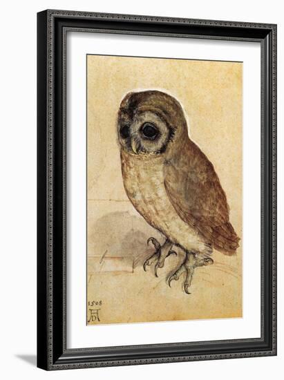 Screech Owl-null-Framed Art Print