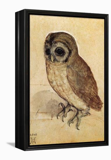 Screech Owl-null-Framed Stretched Canvas