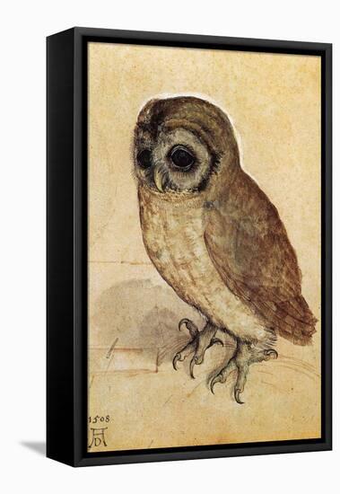 Screech Owl-null-Framed Stretched Canvas