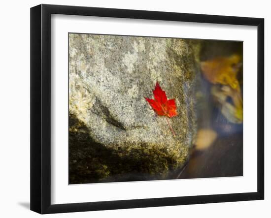 Screw Auger Falls, Grafton Notch State Park, Maine, USA-Alan Copson-Framed Photographic Print