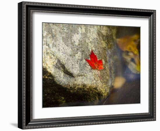 Screw Auger Falls, Grafton Notch State Park, Maine, USA-Alan Copson-Framed Photographic Print